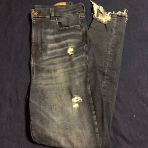 Curvy Highest Rise Jegging (10)